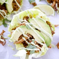 Chipotle Pulled Pork Lettuce Wraps with Avocado Aioli